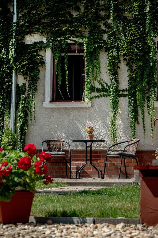Vadszőlő Apartmanház Gyomaendrőd Exterior foto